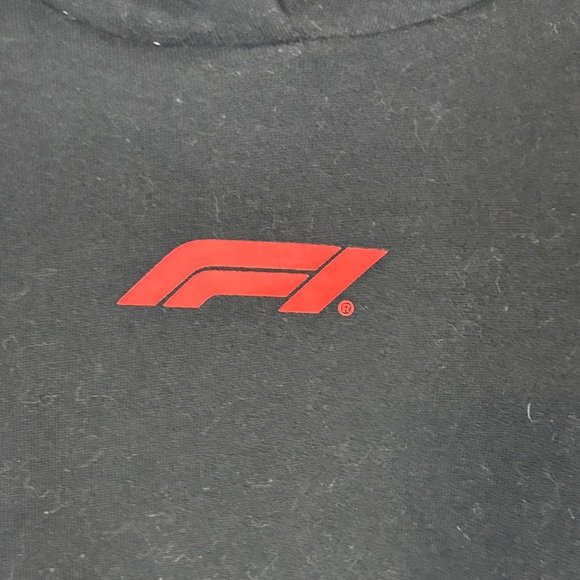 Pacsun X F-1 Oversized Hoodie NWT - Picture 2 of 6